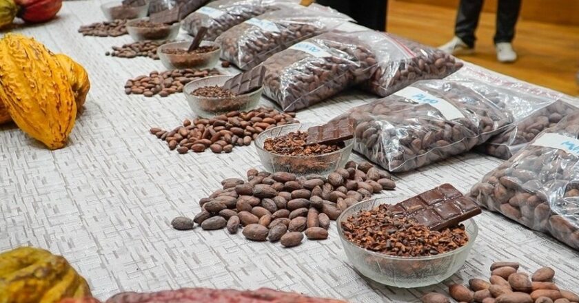 Exportaciones de cacao boliviano y preparaciones alcanzaron récord de casi $us 3 millones en 2023