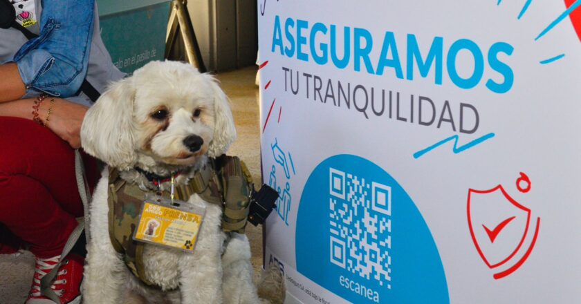Lanzan Huellitas Seguras, el primer seguro para mascotas en tarjeta prepago