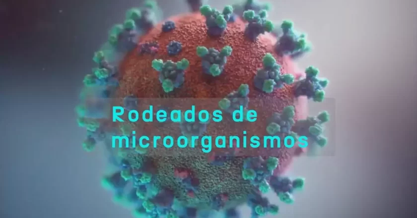 Virus, bacterias… vivimos rodeados de microorganismos