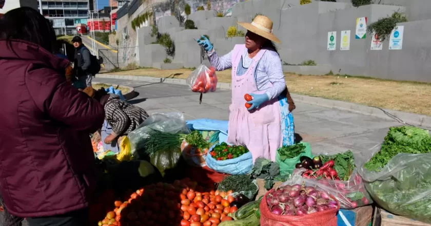 El precio del tomate vuelve a la normalidad con Bs 2 la libra
