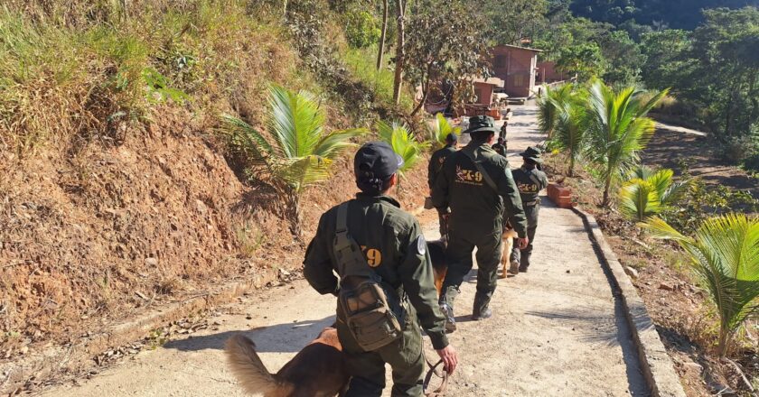 Fiscalía y Policía inician búsqueda y rastrillaje de Odalis en la hacienda de un familiar de Joel en Tocaña