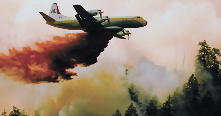 Diez aeronaves refuerzan la lucha contra los incendios forestales en el territorio nacional