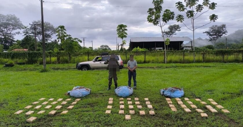 Fiscalía del Beni investiga a chofer de un bus por tráfico de más de 66 kilos de marihuana