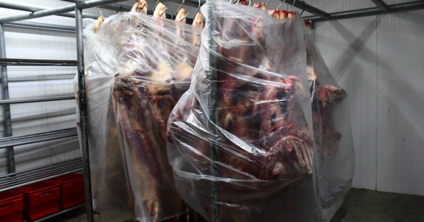 Gobierno anuncia reducción del kilo gancho de carne de res a Bs 34,5