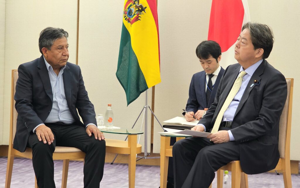 CHOQUEHUANCA Y HAYASHI