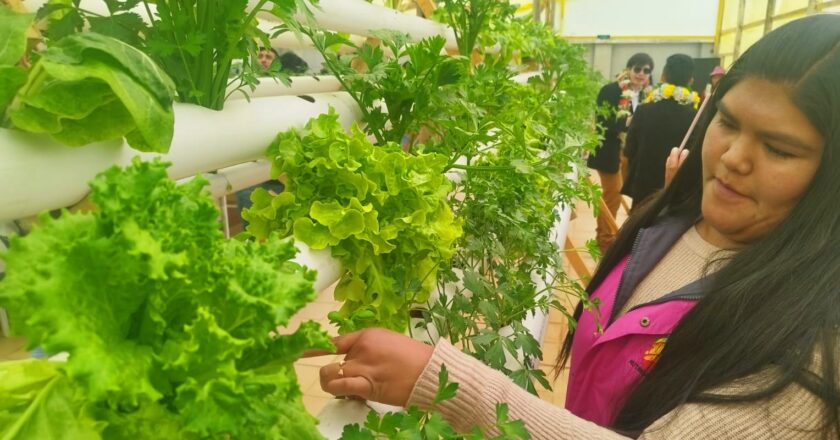 Tercer Huerto Smart inaugurado en La Paz: tecnología y educación para la seguridad alimentaria