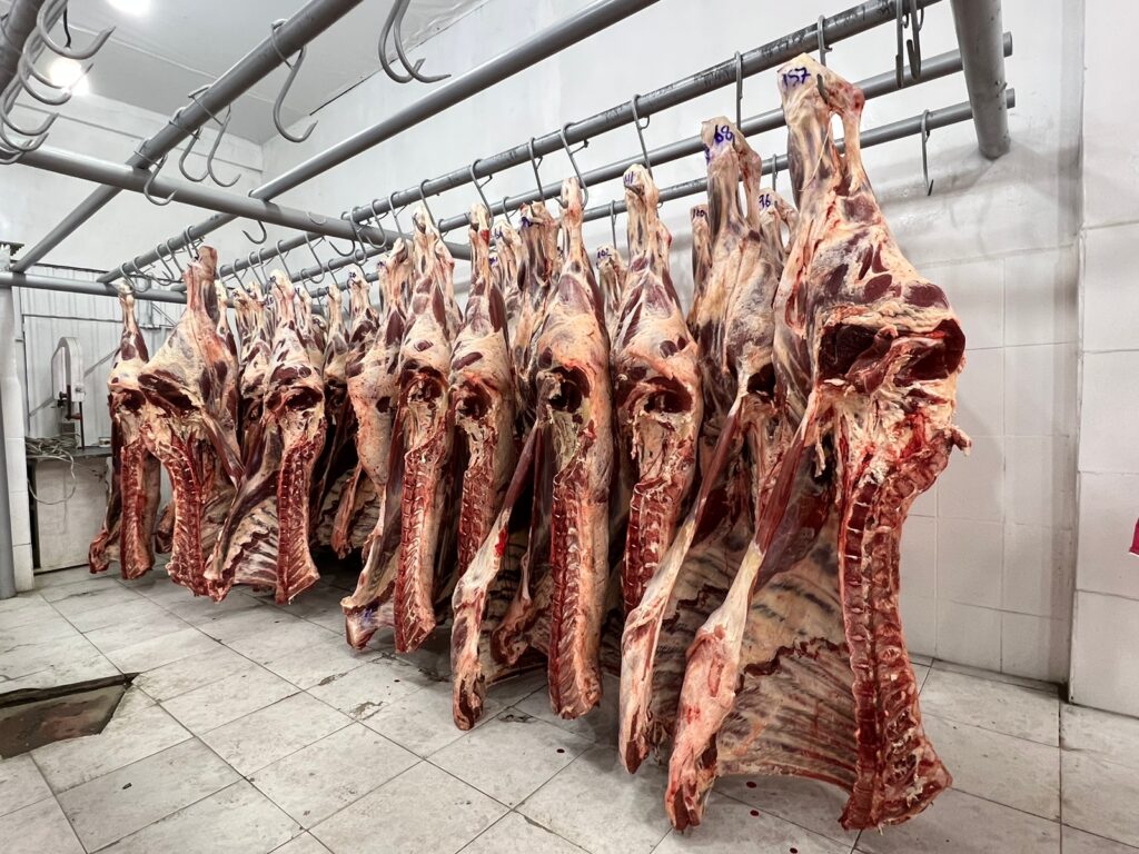 CARNE DE RES