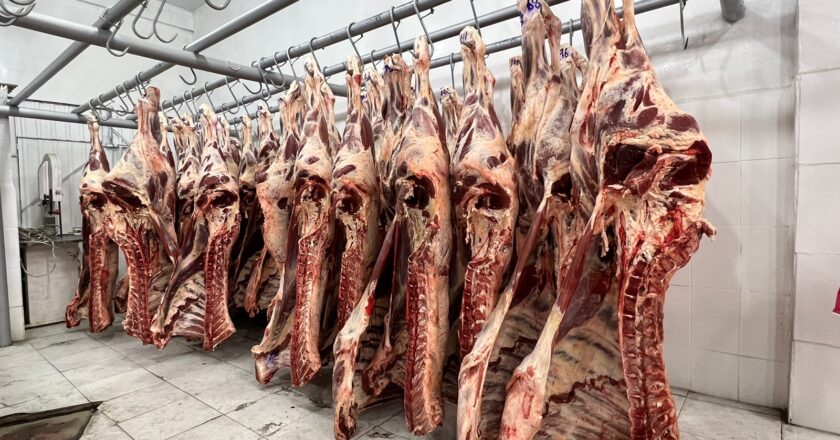 Gobierno mantiene veto a exportación de carne por afectaciones climáticas y falta de acuerdos en precios