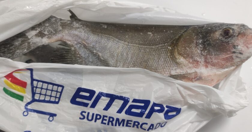 EMAPA ofrece pescados frescos y nutritivos esta Semana Santa