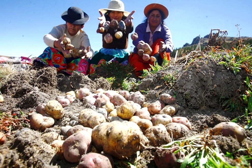 PRODUCTORES