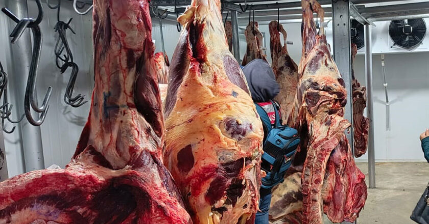 Gobierno evalúa importar carne argentina y ganaderos cuestionan la medida