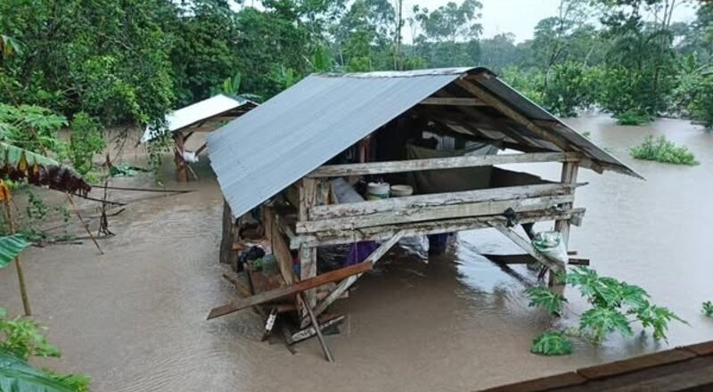 Casi un millón de familias bolivianas afectadas por desastres naturales en 305 municipios