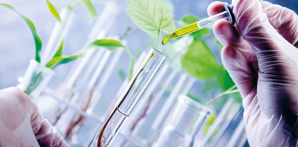 BIOTECNOLOGÍA