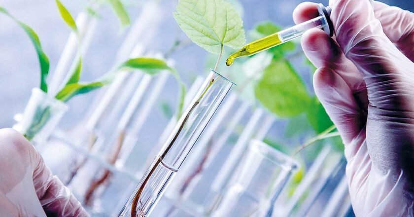 Gobierno analiza ley para regular el uso responsable de biotecnología en cultivos