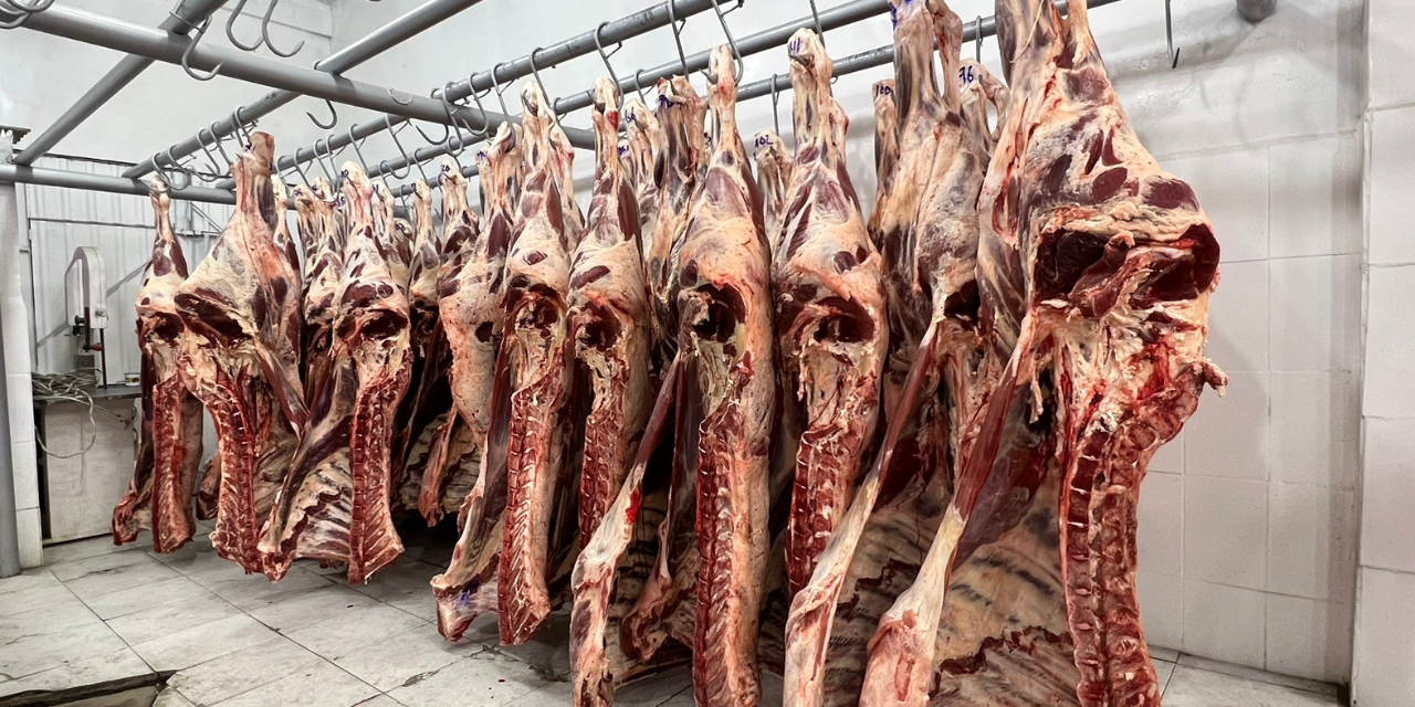 CARNE DE RES