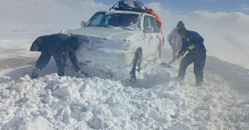 Nevada en el sudoeste potosino deja más de 100 familias afectadas y pérdidas en el ganado
