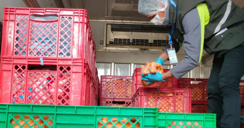 Operativo en San Pedro de Tiquina frustra intento de contrabando de pollo hacia Perú