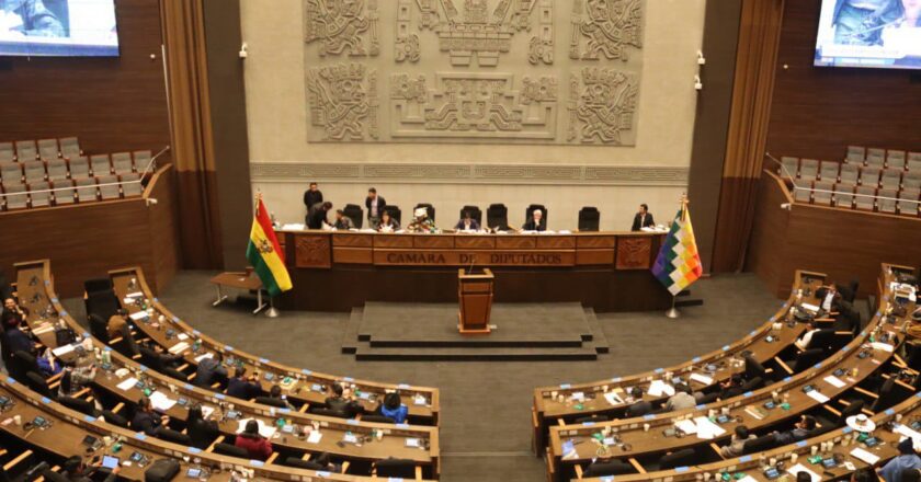 Diputados tratarán contratos de litio y créditos externos en sesión del jueves