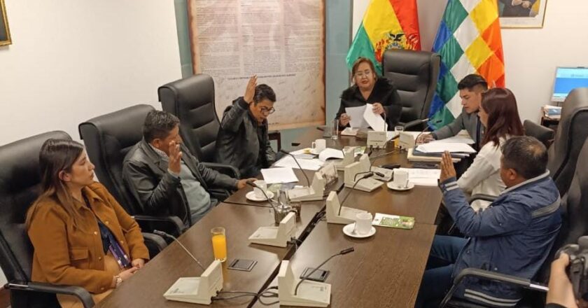 Comisión de Derechos Humanos aprueba proyecto de ley para proteger a la niñez y adolescencia en entornos digitales