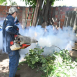 Bolivia reporta 1.534 casos de chikungunya hasta la semana epidemiológica 5; Santa Cruz concentra la mayoría